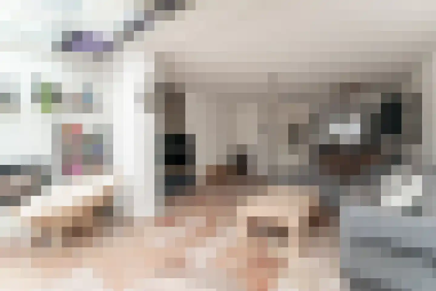 Acaciapad 7 Duiven thumbnail 23