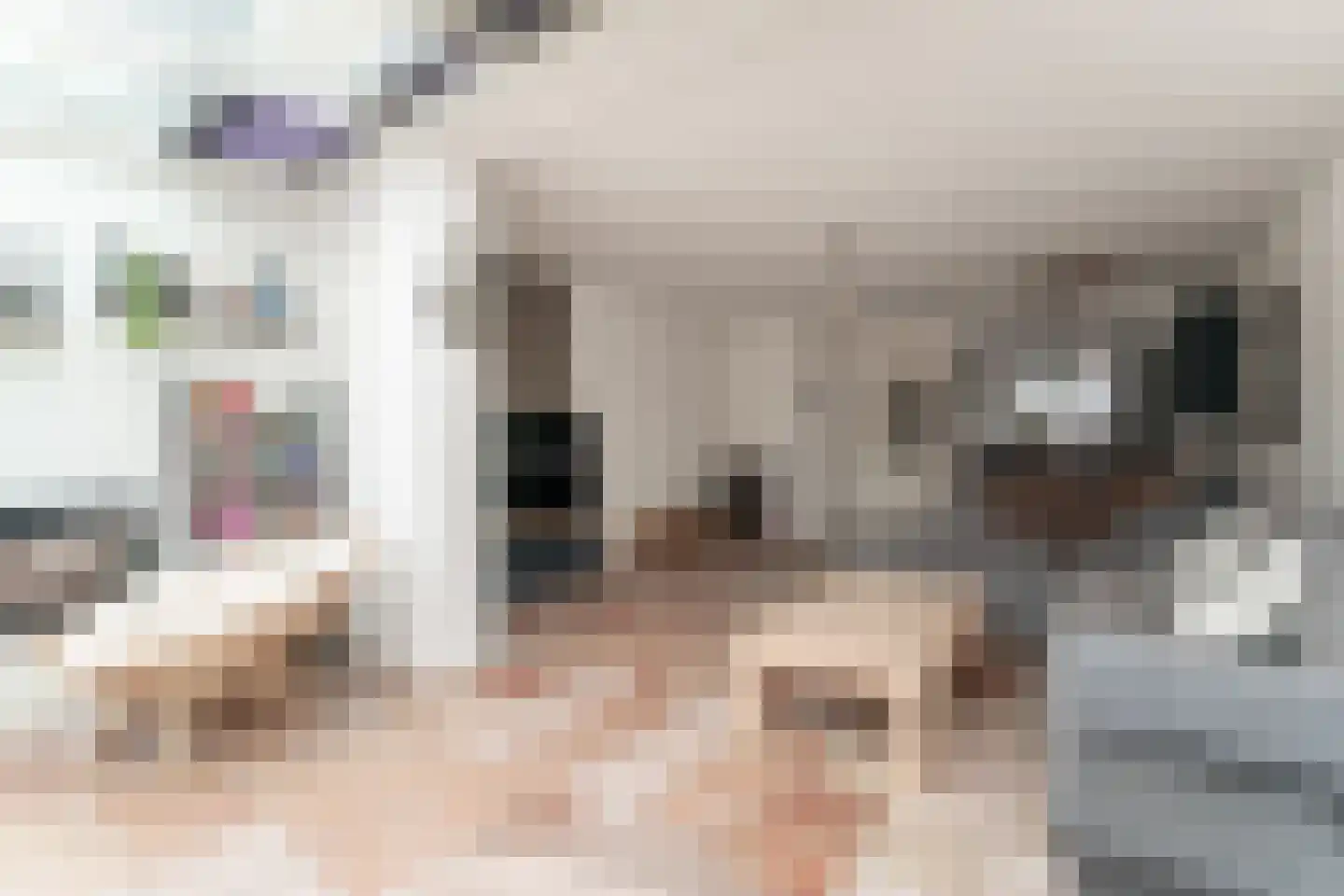 Acaciapad 7 Duiven thumbnail 23