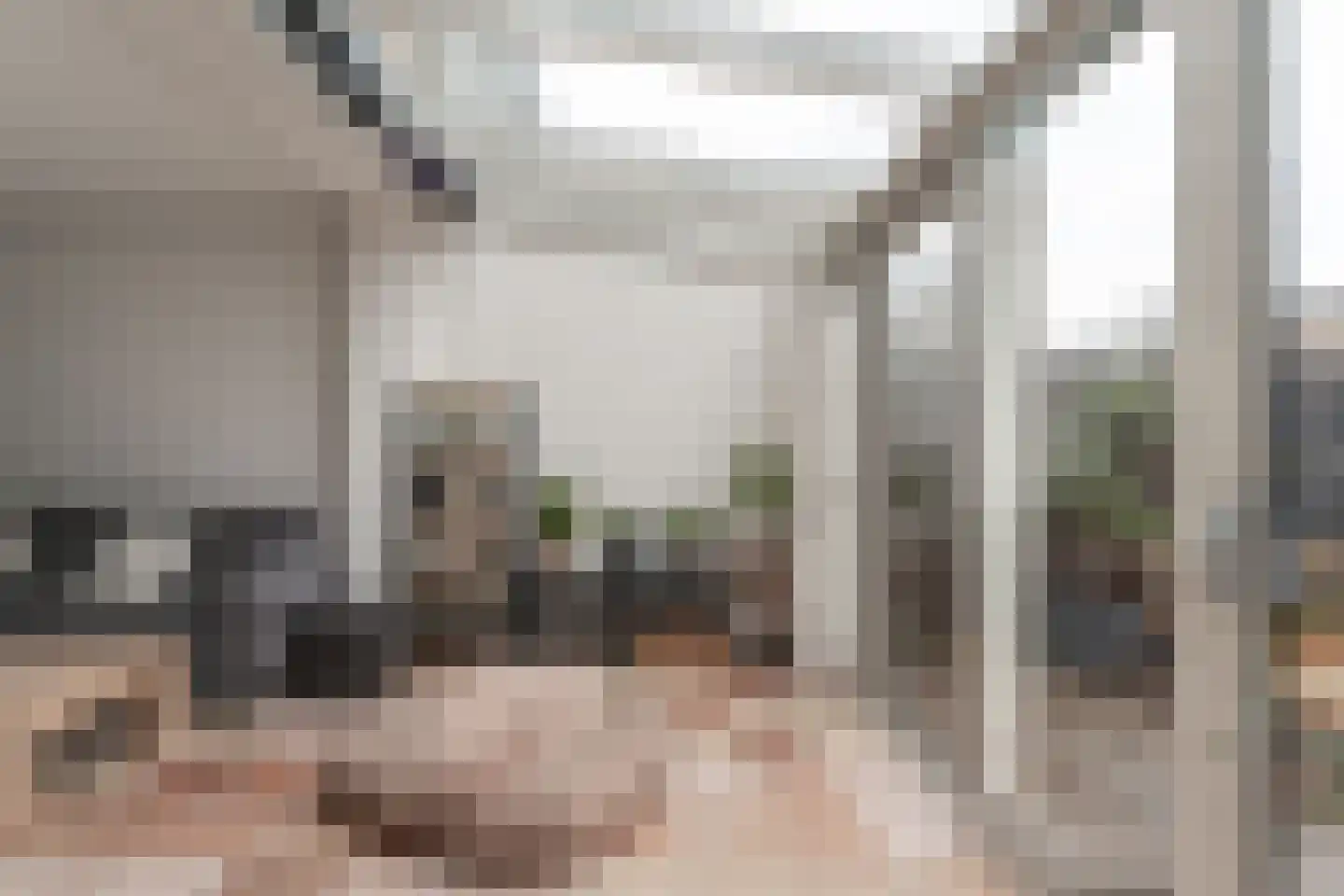 Acaciapad 7 Duiven thumbnail 25