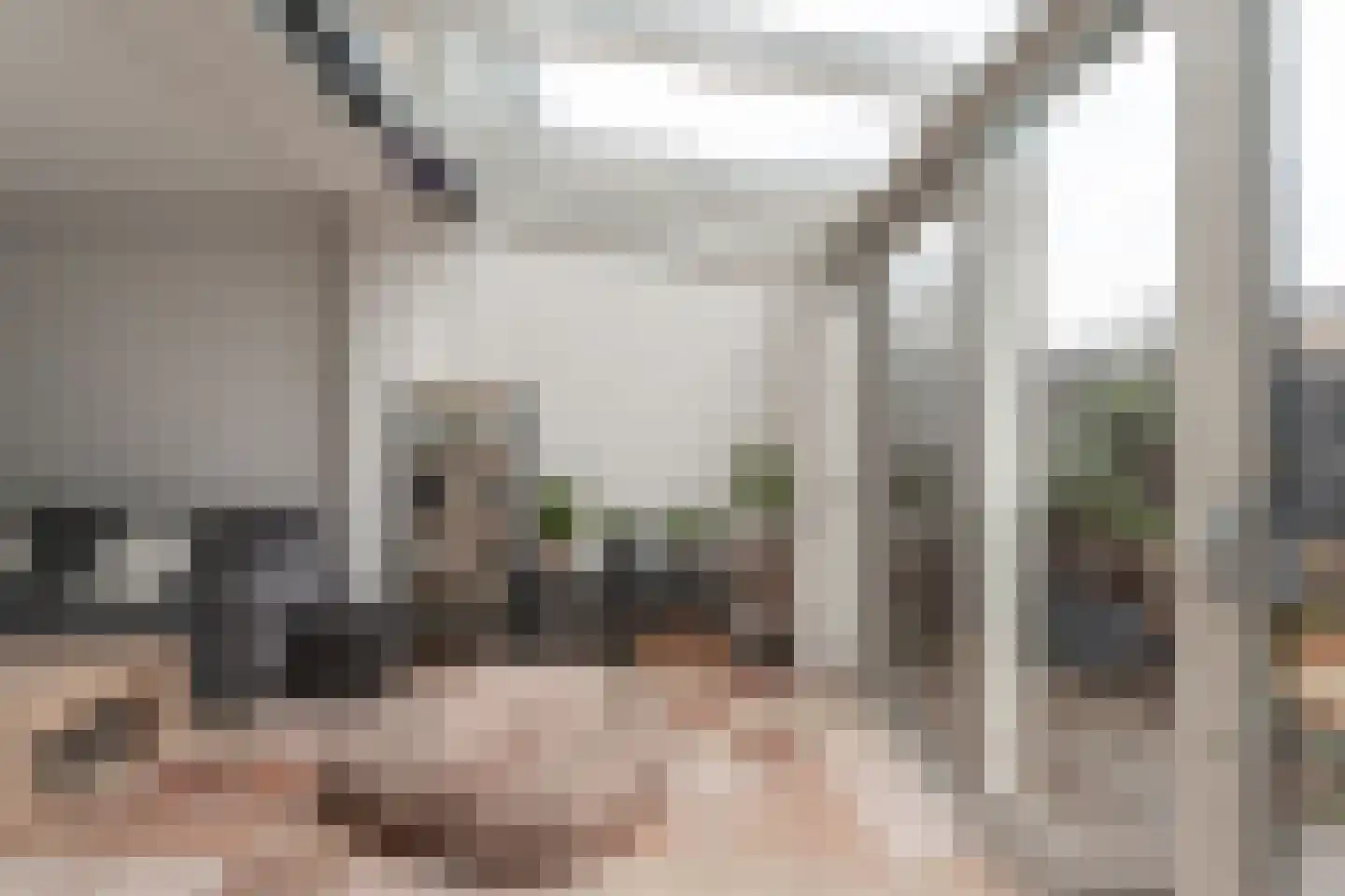 Acaciapad 7 Duiven thumbnail 25