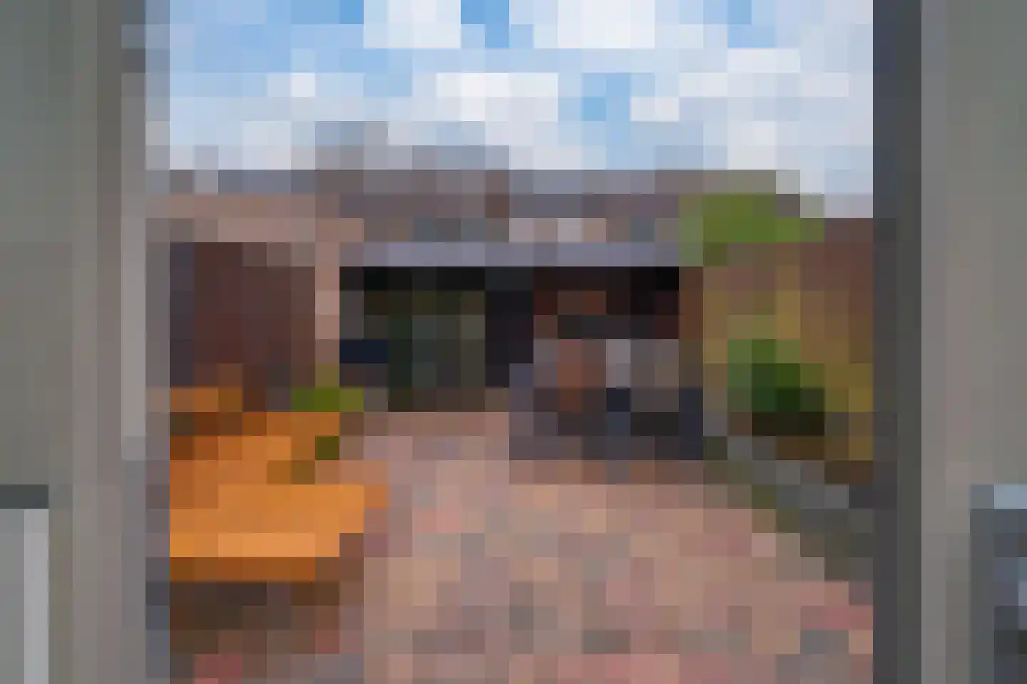 Acaciapad 7 Duiven thumbnail 29