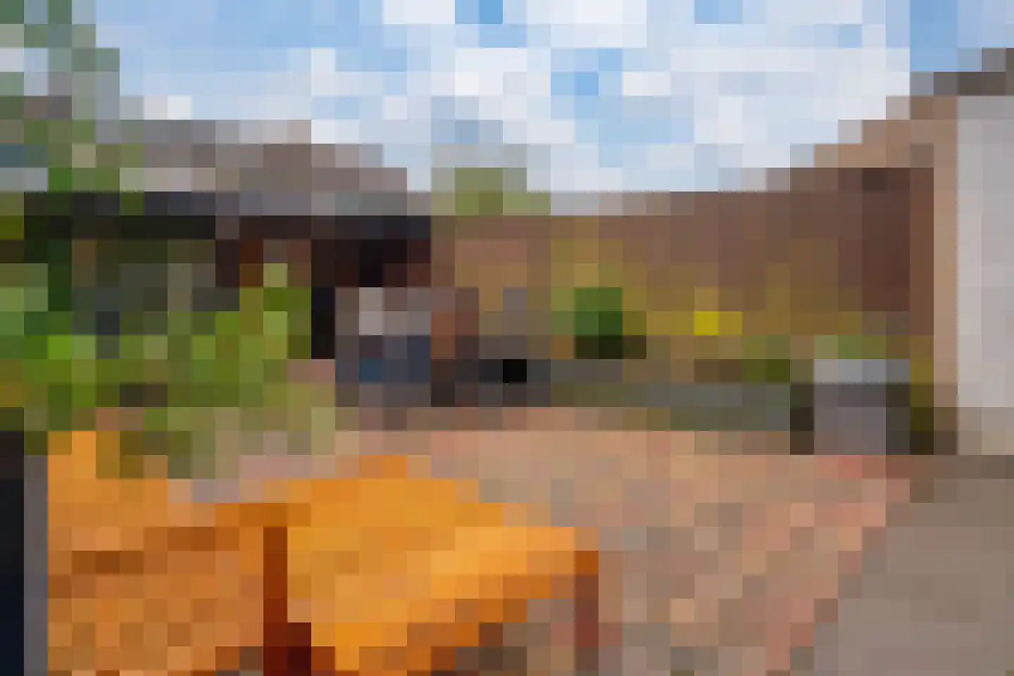 Acaciapad 7 Duiven thumbnail 31