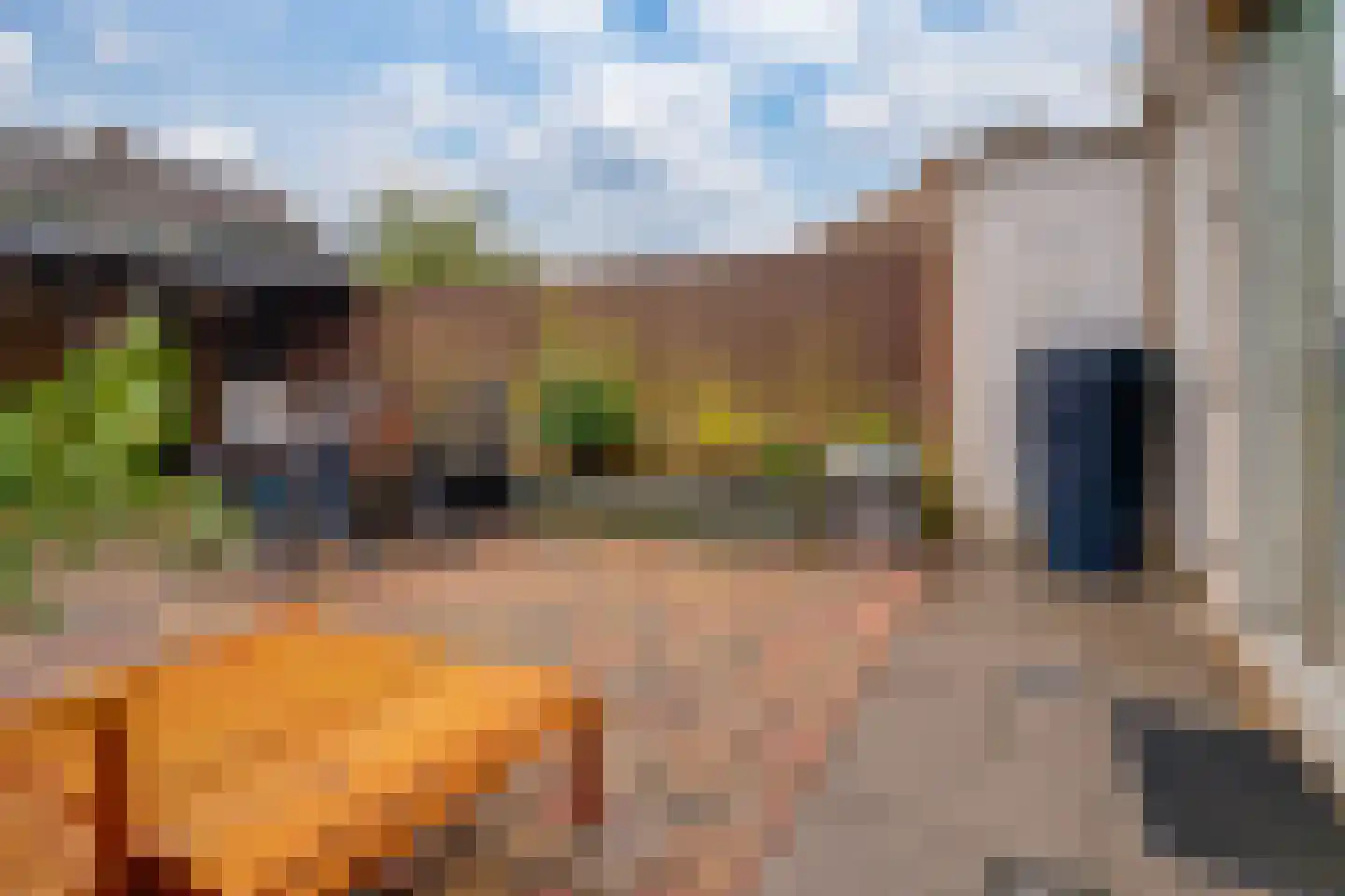 Acaciapad 7 Duiven thumbnail 32