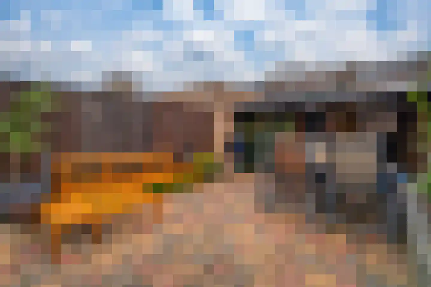Acaciapad 7 Duiven thumbnail 33
