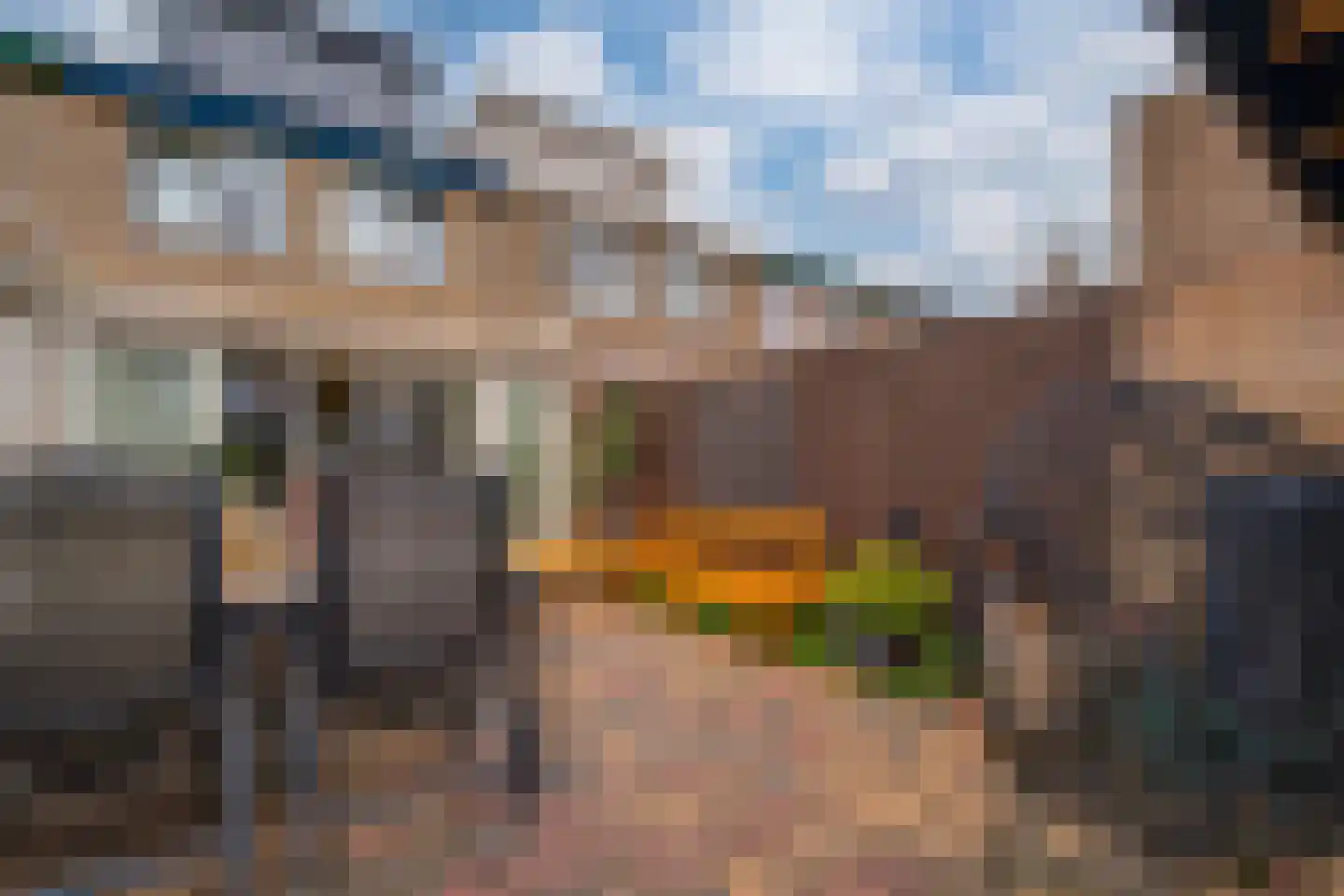 Acaciapad 7 Duiven thumbnail 35