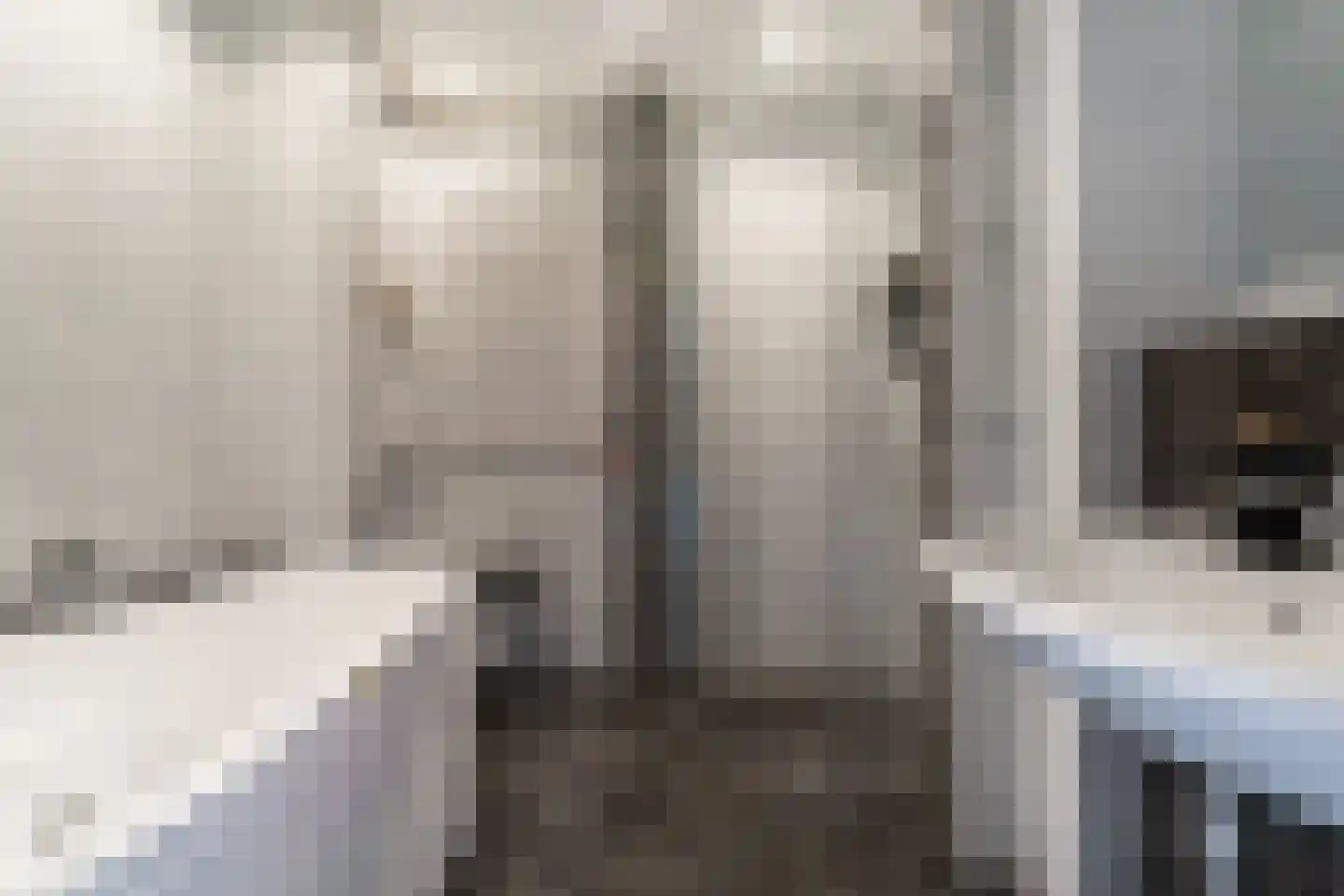 Acaciapad 7 Duiven thumbnail 4