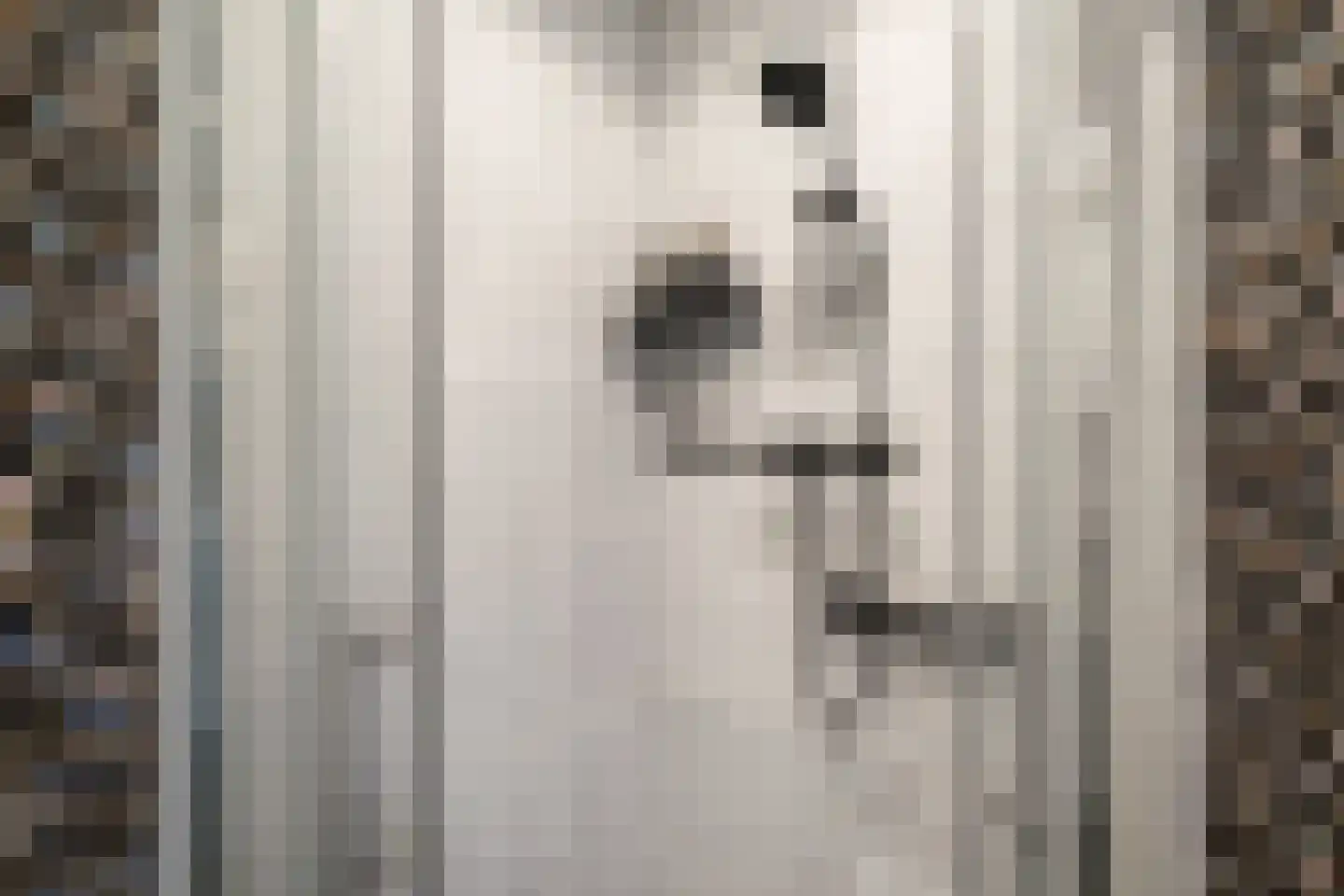 Acaciapad 7 Duiven thumbnail 43