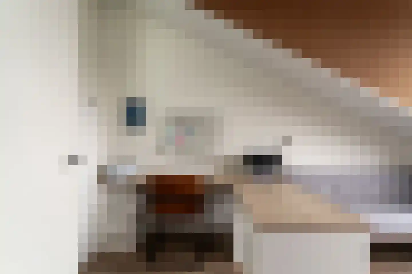 Acaciapad 7 Duiven thumbnail 51