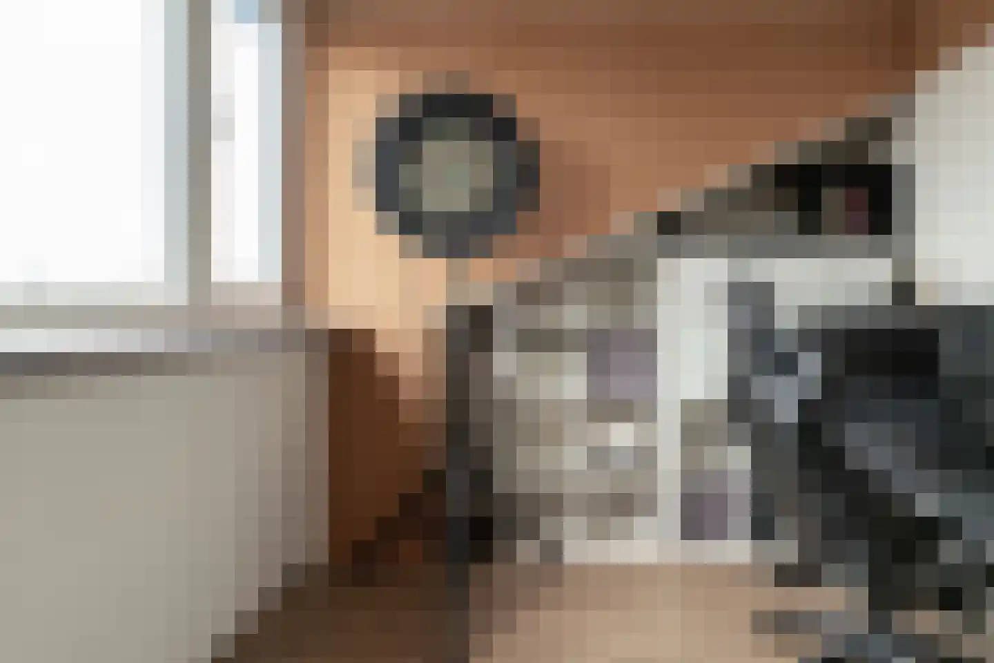 Acaciapad 7 Duiven thumbnail 54