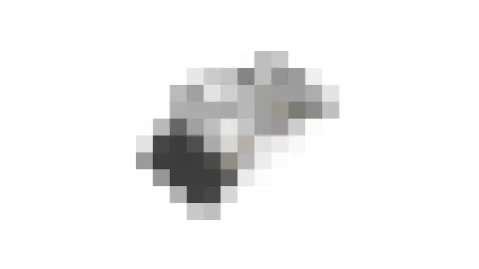 Acaciapad 7 Duiven thumbnail 62