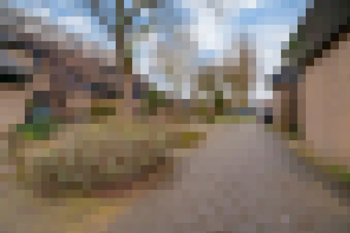 Acaciapad 7 Duiven thumbnail 8