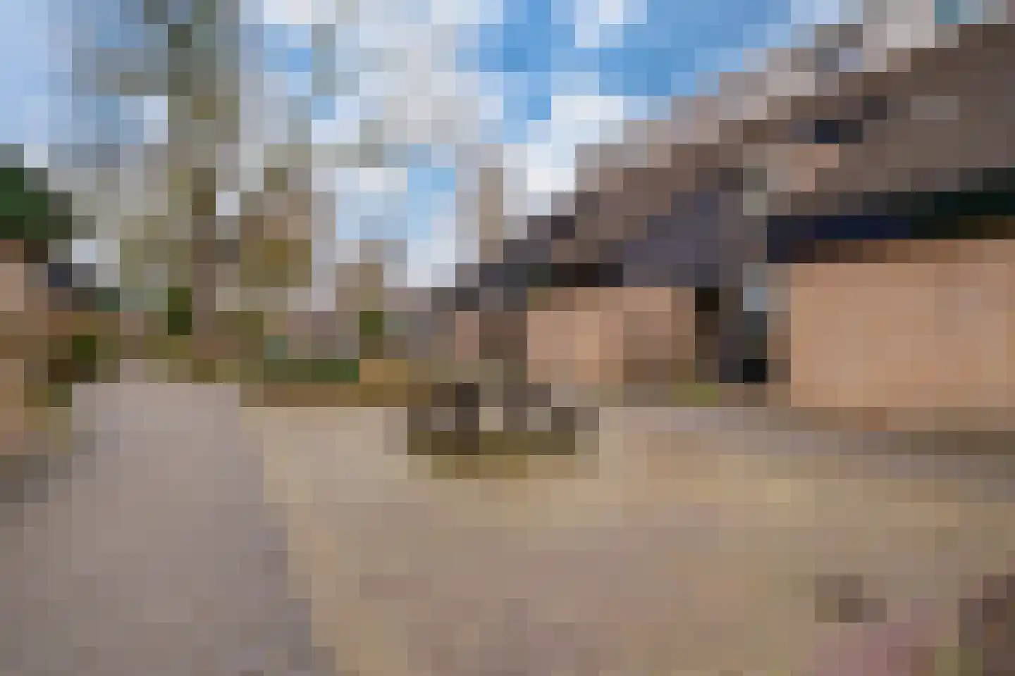 Acaciapad 7 Duiven thumbnail 9