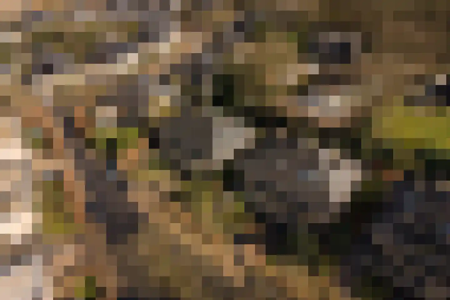 Acaciapark 148 Hilversum thumbnail 34