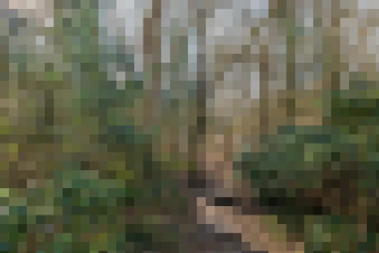 Acaciapark 148 Hilversum thumbnail 36