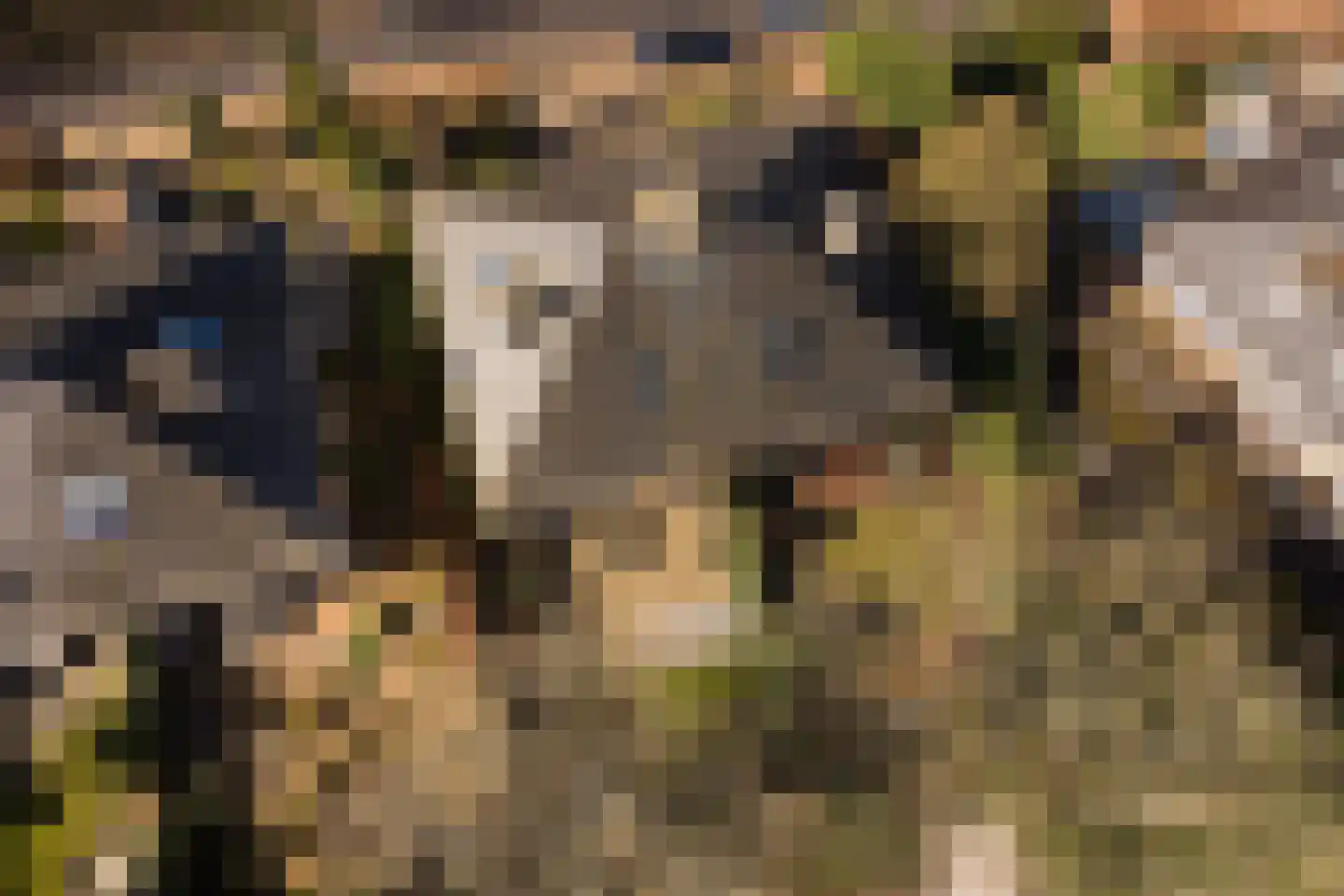 Acaciapark 148 Hilversum thumbnail 37
