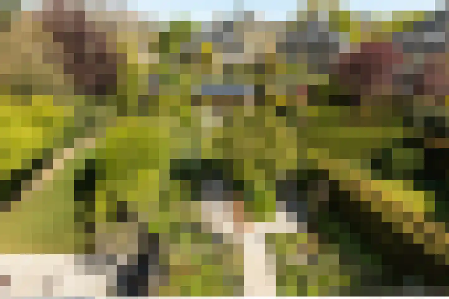 Acaciapark 43 Hilversum thumbnail 28