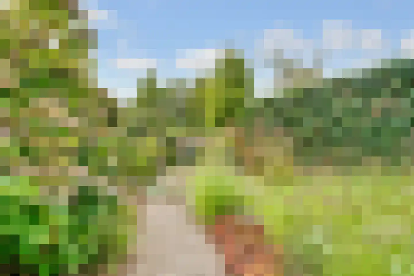 Acaciapark 7 Hilversum thumbnail 39