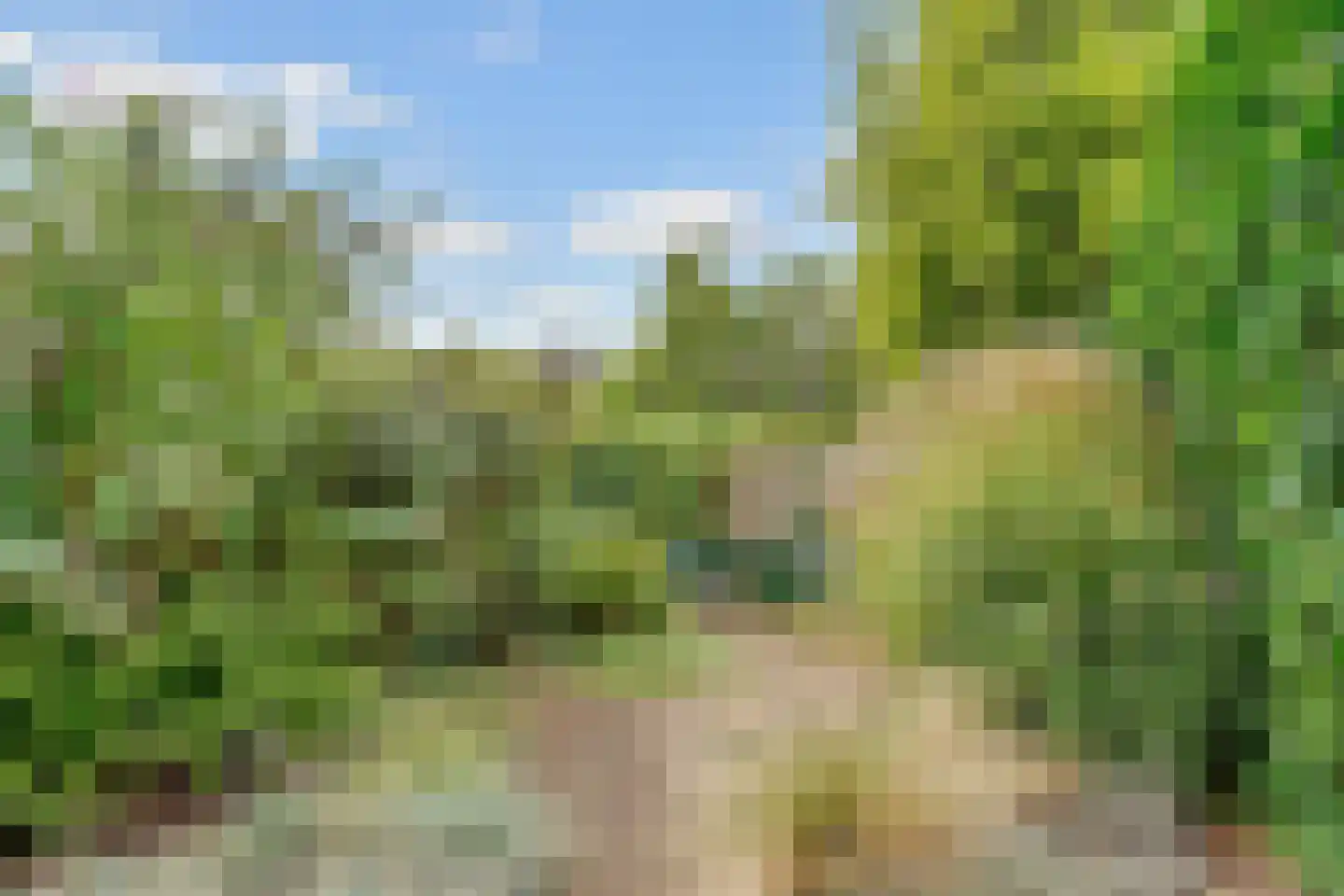 Acaciapark 7 Hilversum thumbnail 40