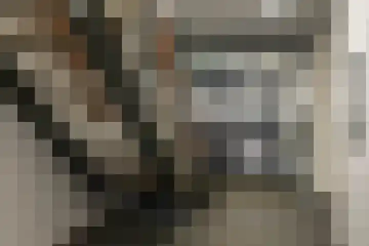 Acaciaplein 127 Schagen thumbnail 6