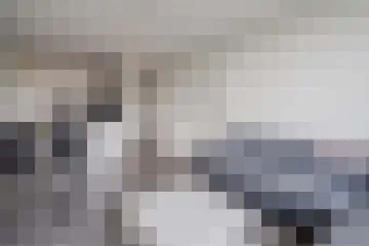 Acaciaplein 132 Schagen thumbnail 13