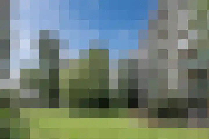 Acaciaplein 132 Schagen thumbnail 28