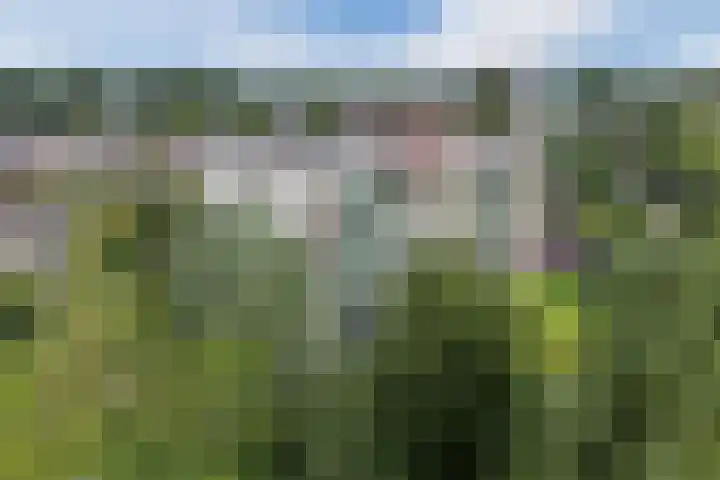 Acaciaplein 132 Schagen thumbnail 32