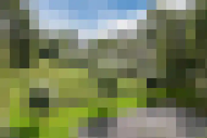 Acaciaplein 132 Schagen thumbnail 35