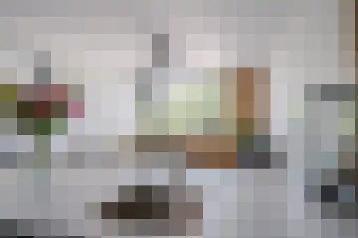 Acaciaplein 146 Schagen thumbnail 18