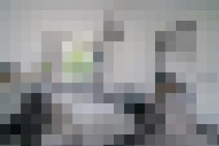 Acaciaplein 146 Schagen thumbnail 21