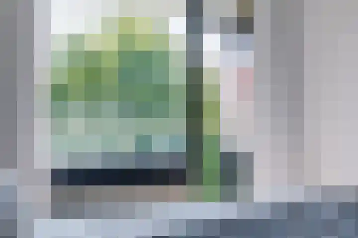 Acaciaplein 146 Schagen thumbnail 23
