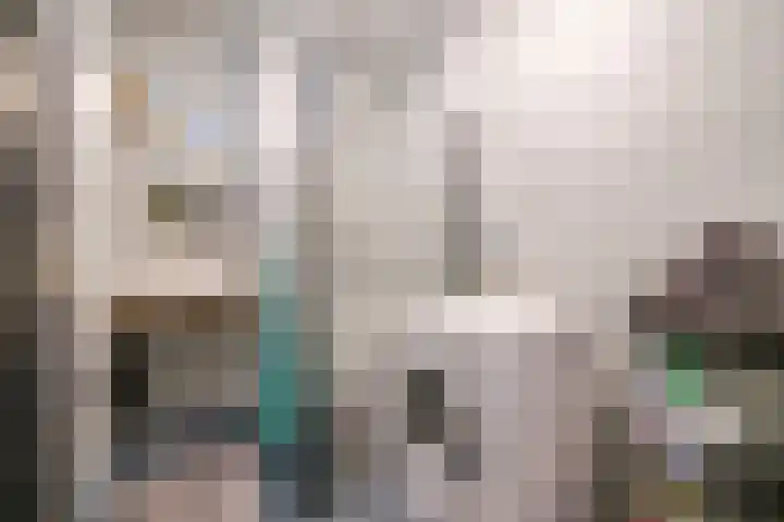 Acaciaplein 146 Schagen thumbnail 27