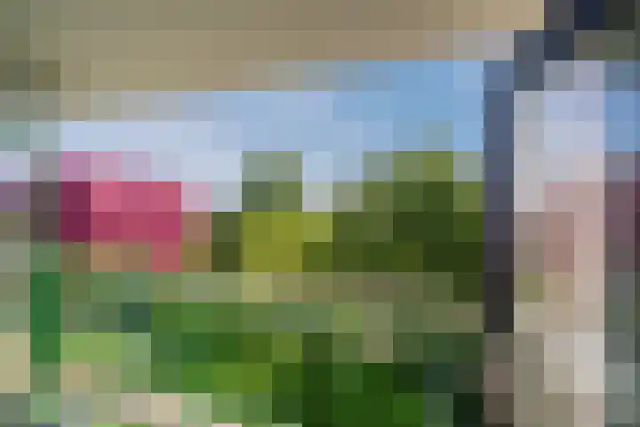 Acaciaplein 146 Schagen thumbnail 29