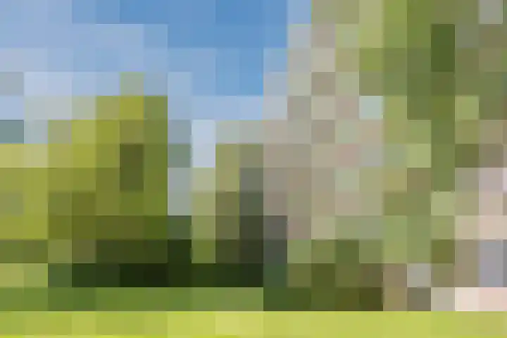 Acaciaplein 146 Schagen thumbnail 31