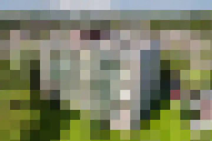 Acaciaplein 146 Schagen thumbnail 33