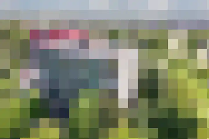 Acaciaplein 146 Schagen thumbnail 4