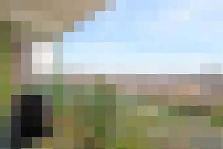 Acaciaplein 152 Schagen thumbnail 22