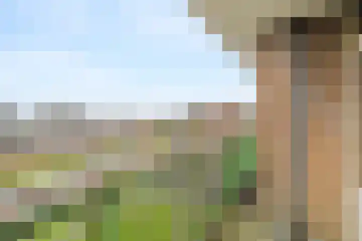 Acaciaplein 152 Schagen thumbnail 23