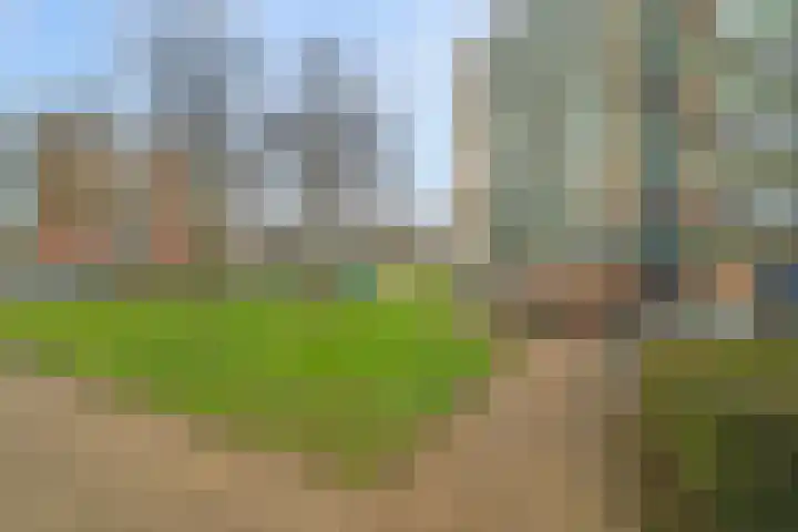 Acaciaplein 152 Schagen thumbnail 4