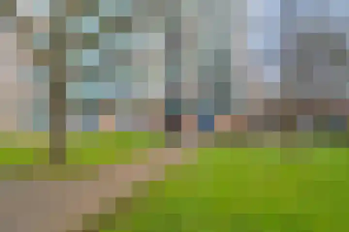 Acaciaplein 152 Schagen thumbnail 5