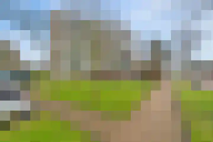Acaciaplein 152 Schagen thumbnail 6