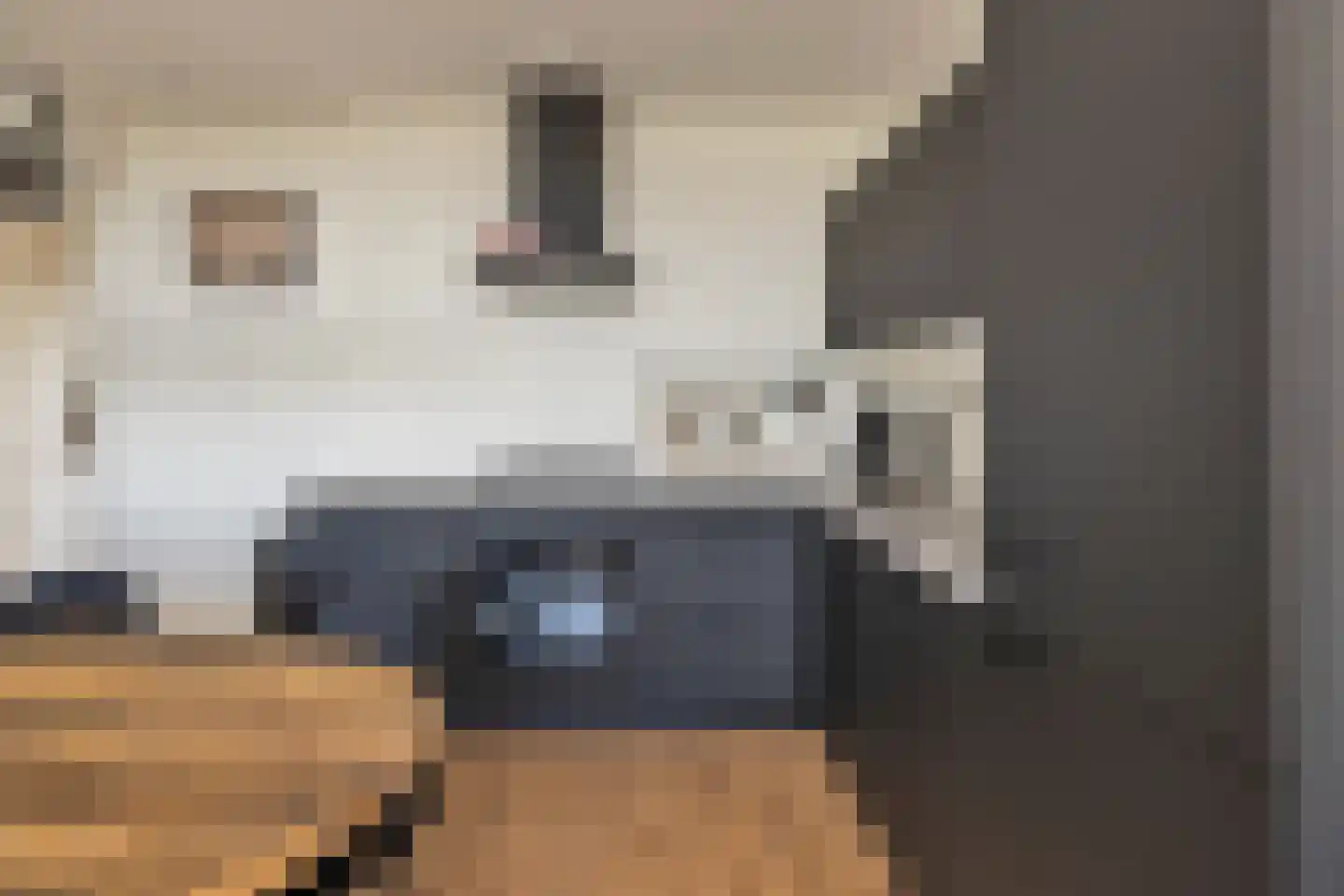 Acaciaplein 154 Schagen thumbnail 12