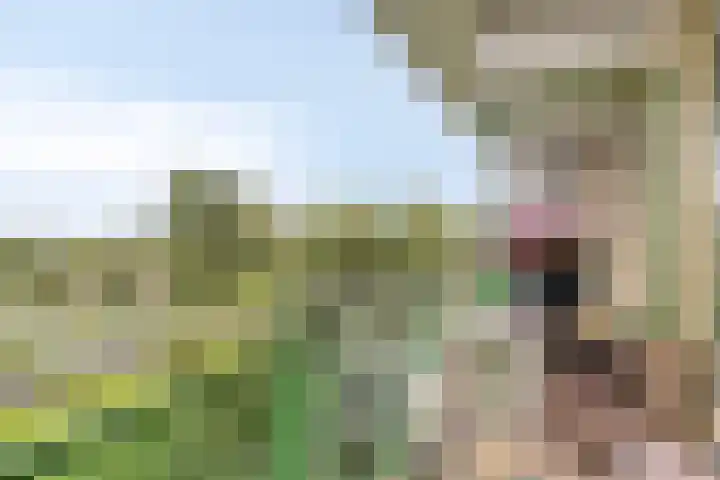 Acaciaplein 155 Schagen thumbnail 20