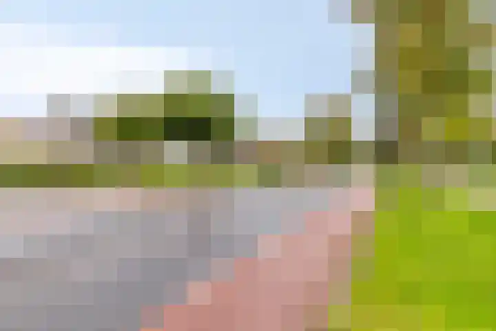 Acaciaplein 155 Schagen thumbnail 37