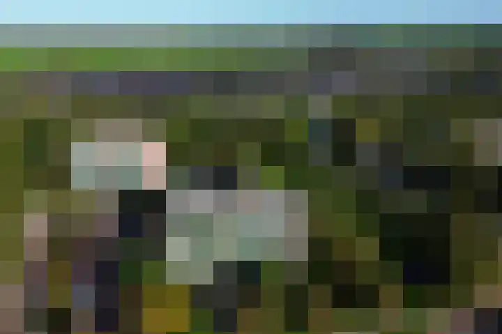 Acaciaplein 155 Schagen thumbnail 39