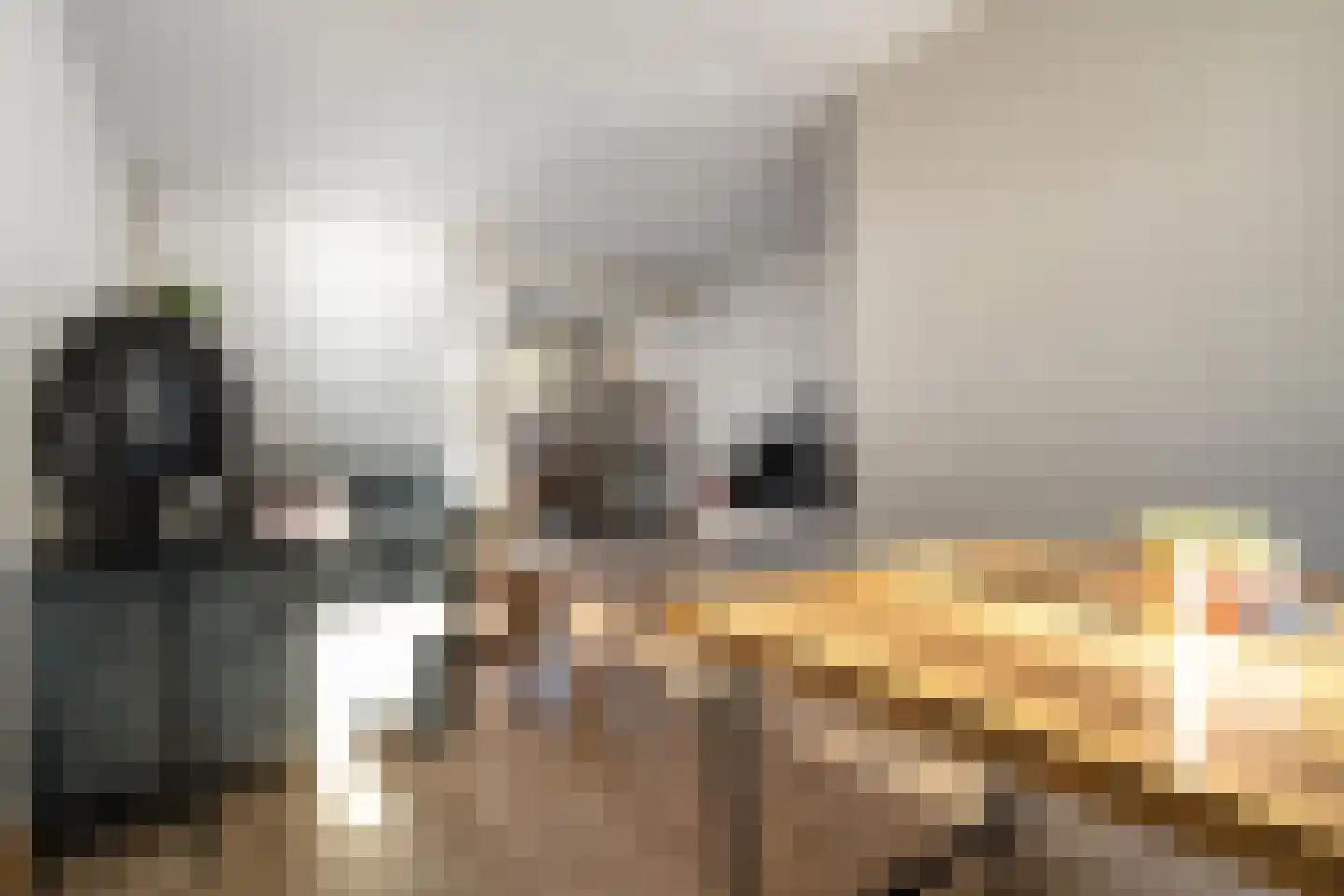 Acaciaplein 3 Almelo thumbnail 8