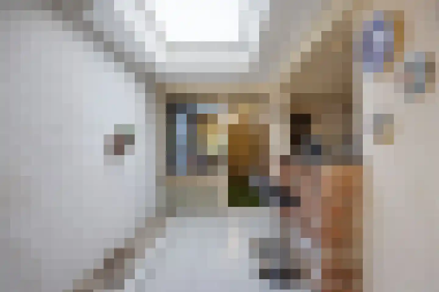 Acaciasingel 39 's-Hertogenbosch thumbnail 12