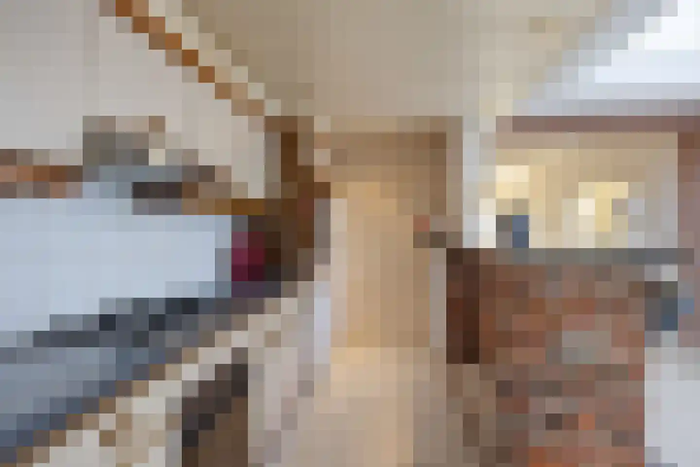 Acaciasingel 39 's-Hertogenbosch thumbnail 14
