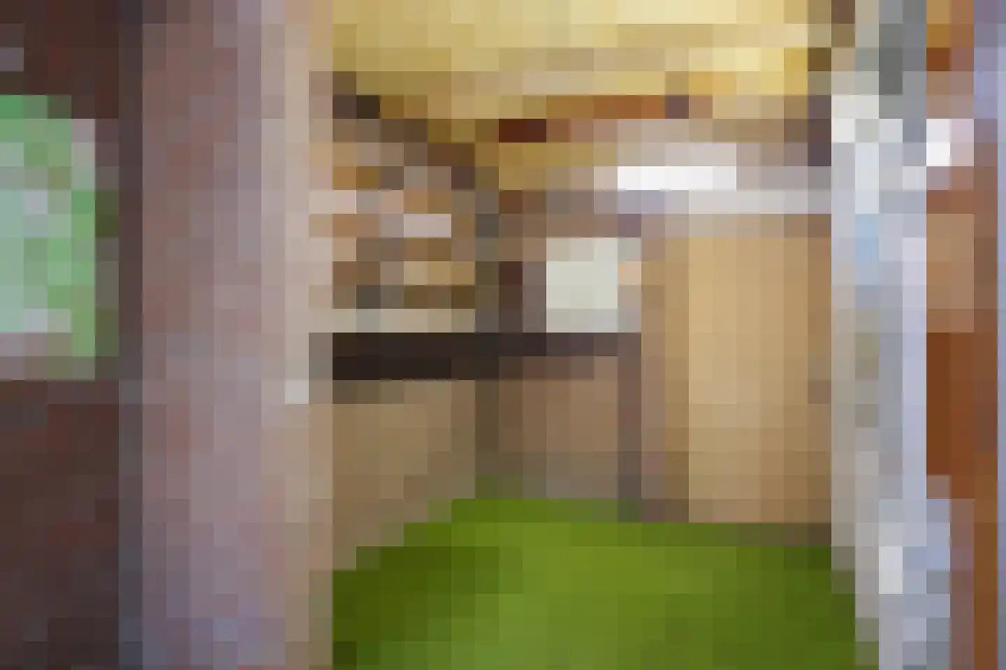 Acaciasingel 39 's-Hertogenbosch thumbnail 20
