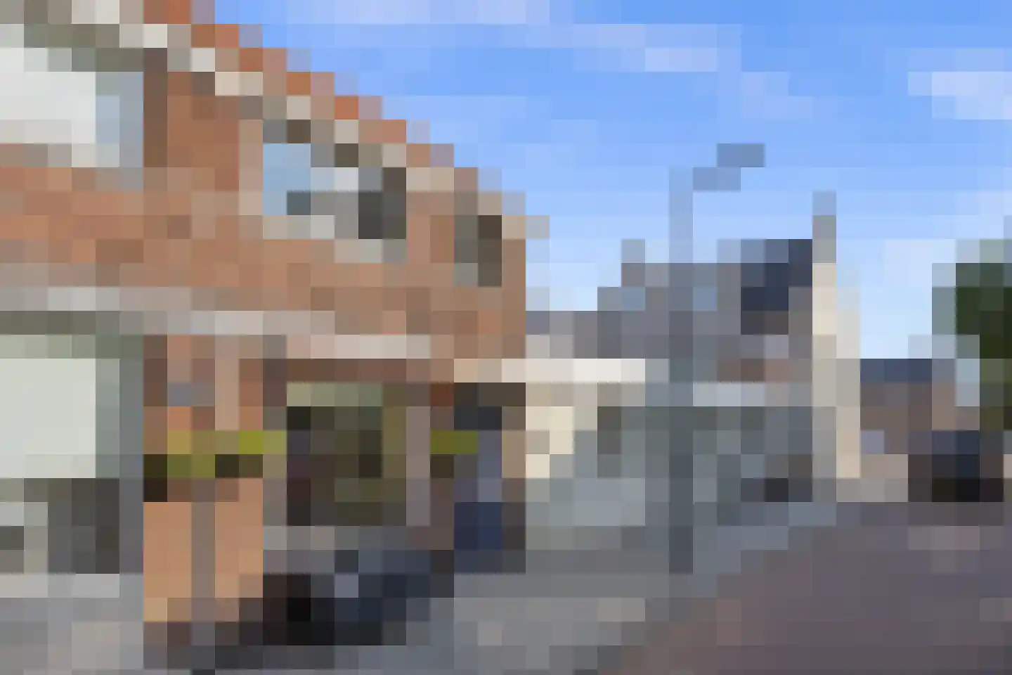 Acaciasingel 39 's-Hertogenbosch thumbnail 31