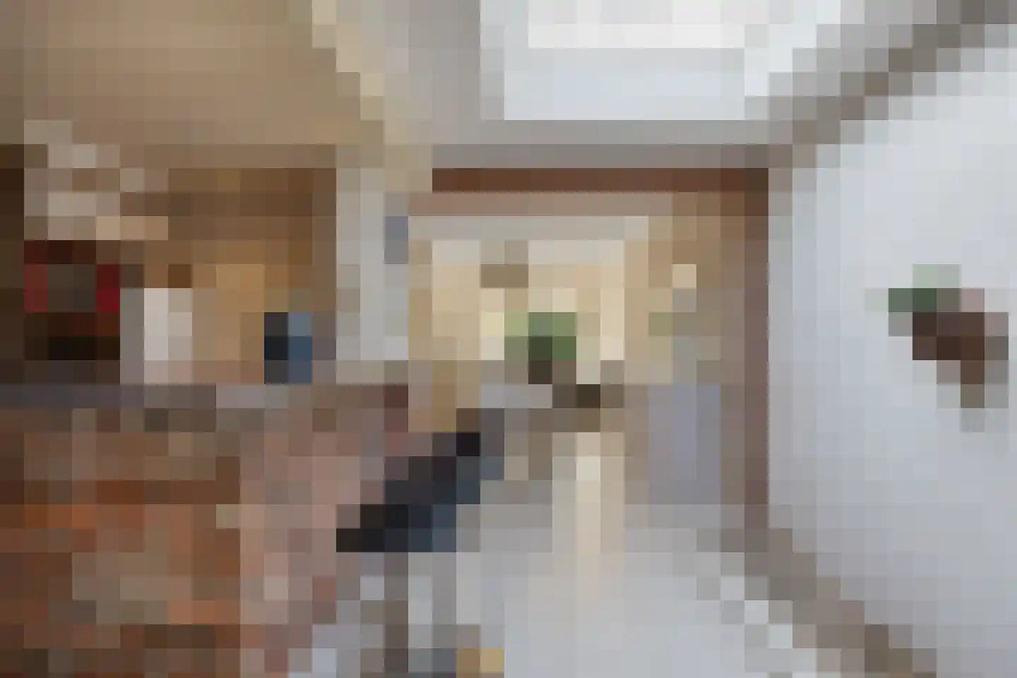 Acaciasingel 39 's-Hertogenbosch thumbnail 4